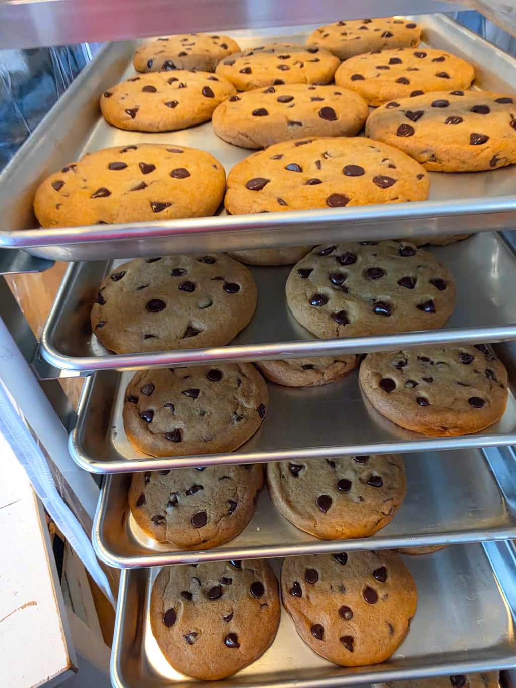 Brown Butter Chocolate Chip Cookie